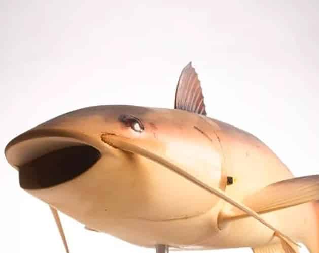 spy gadgets robo fish charlie