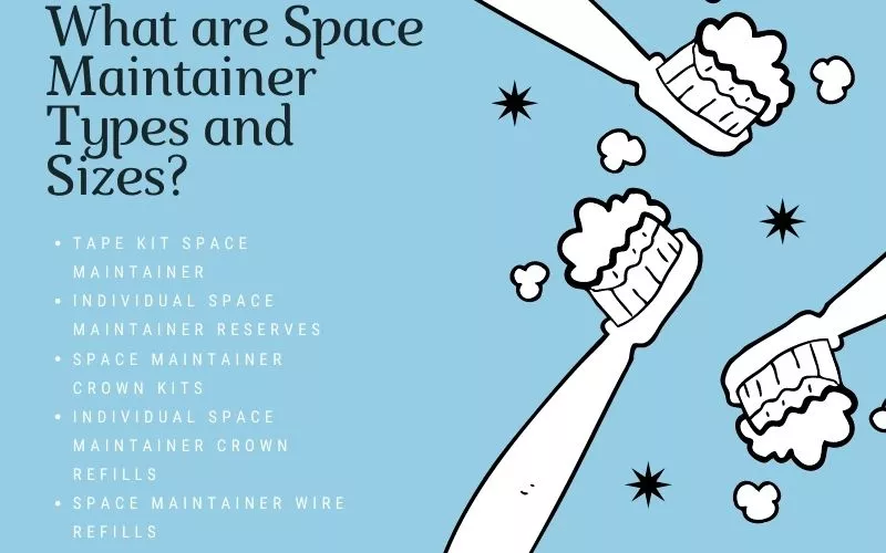 What are Space Maintainer Types and Sizes What are Space Maintainer Types and Sizes