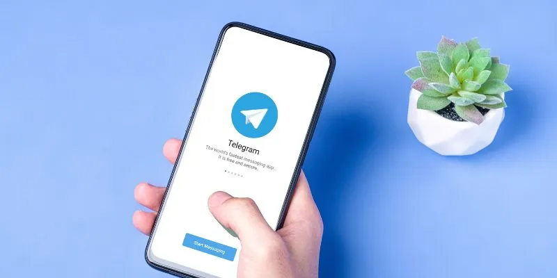 how to enable sensitive content on telegram